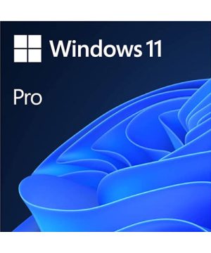 Windows 11 Professional ESD