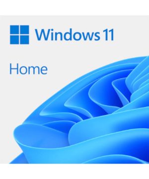 Windows 11 Home esd
