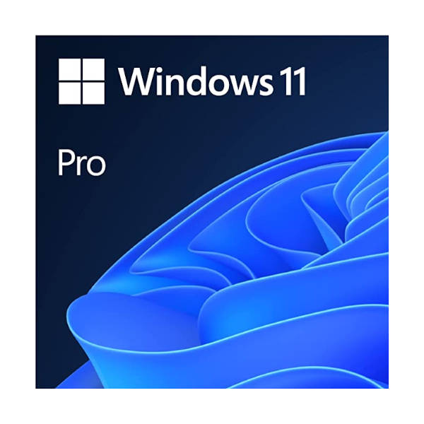 Windows 11 Professional ESD