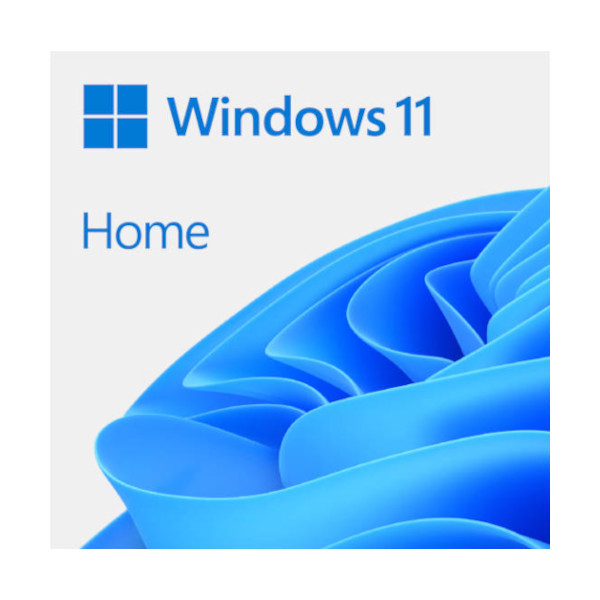 Windows 11 Home esd