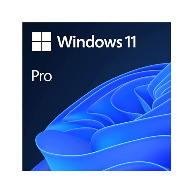 Windows 11 Professional