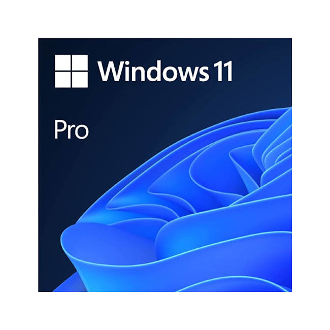 Microsoft Windows 11 Professional 64-Bit – USB Flash Drive Installation, English